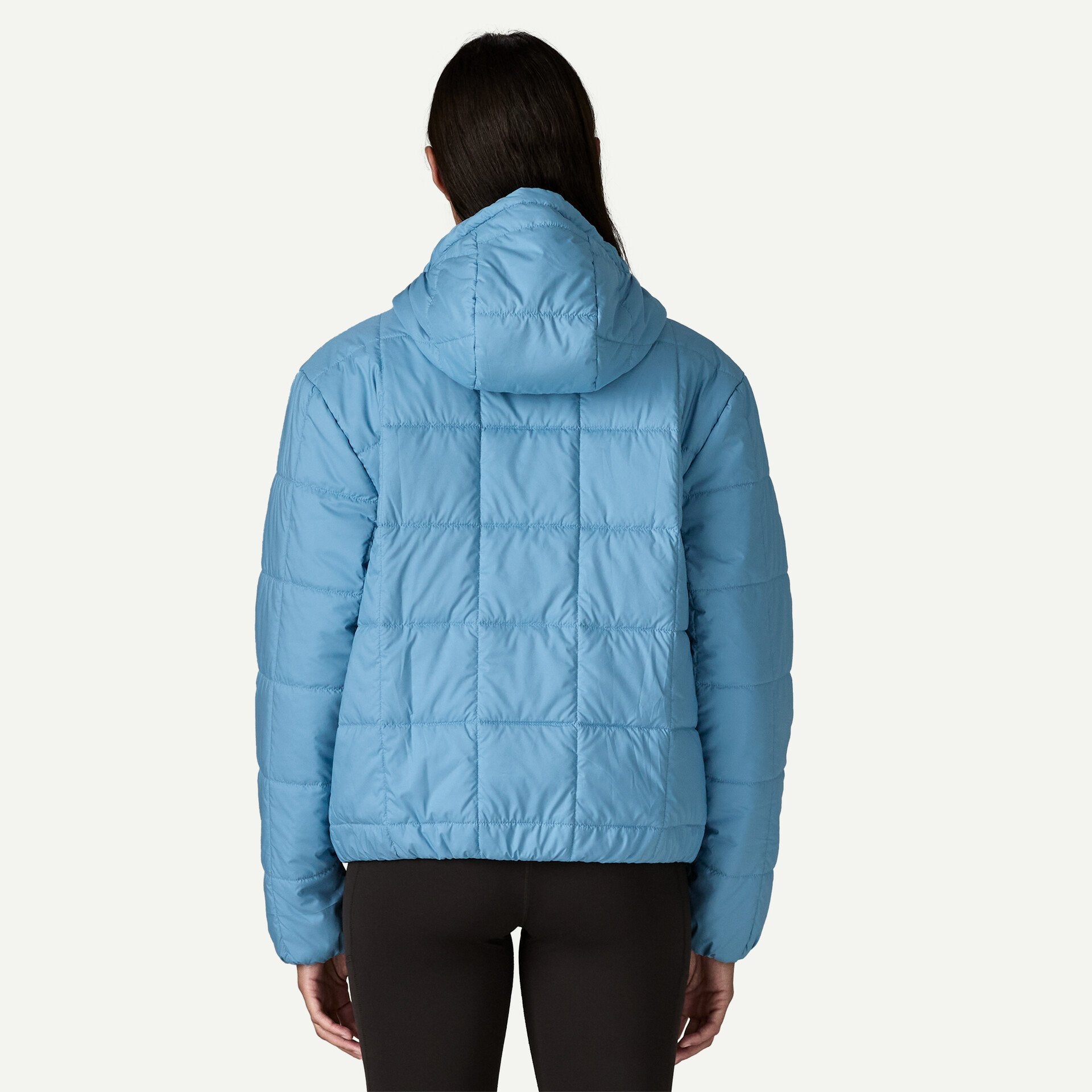 Patagonia Women's Light Gust Hoodie Pullover - Caper Green – Totem