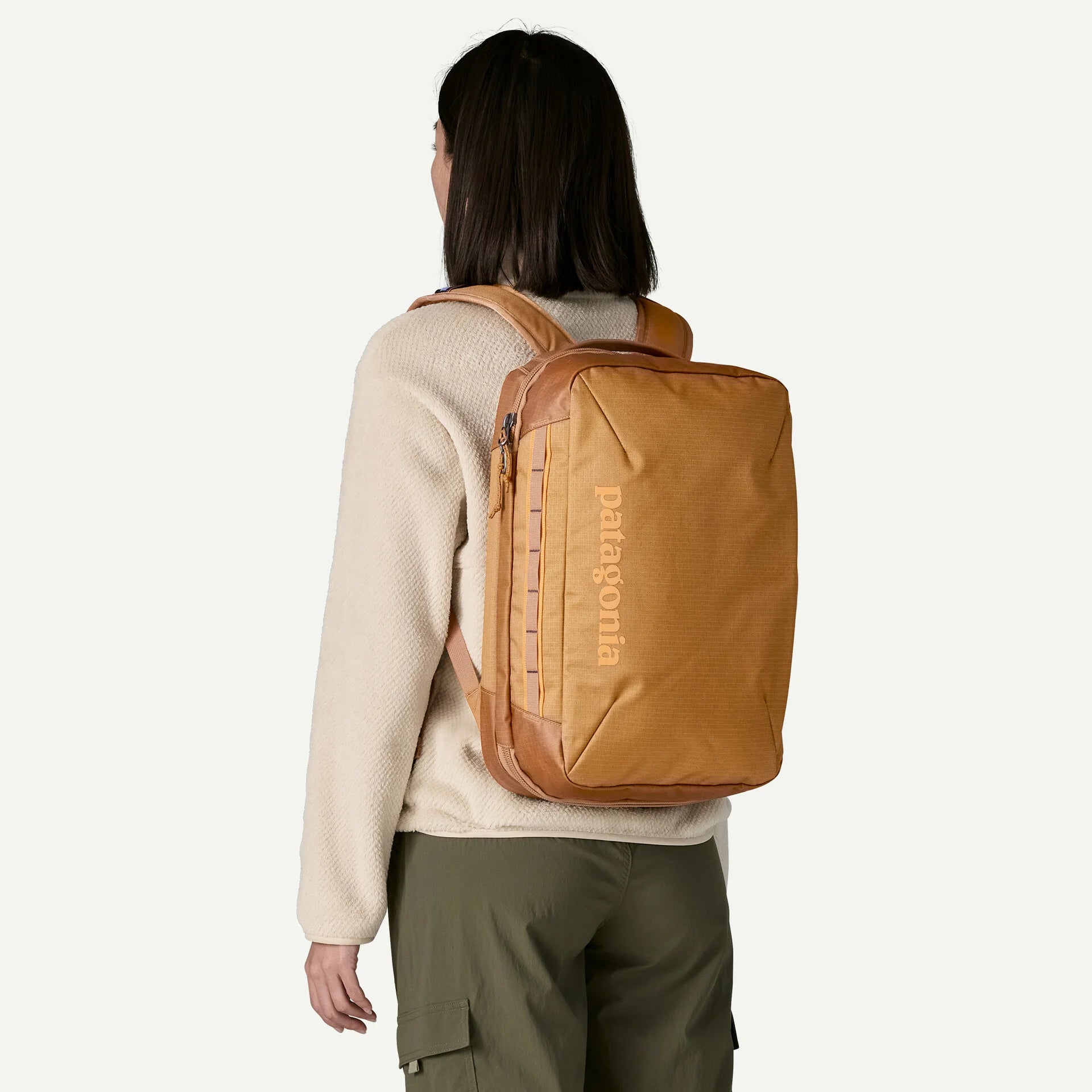 Patagonia Black Hole Mini MLC 30L