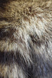 Sekanson Heritage Raccoon Skin Cap - MacLeod