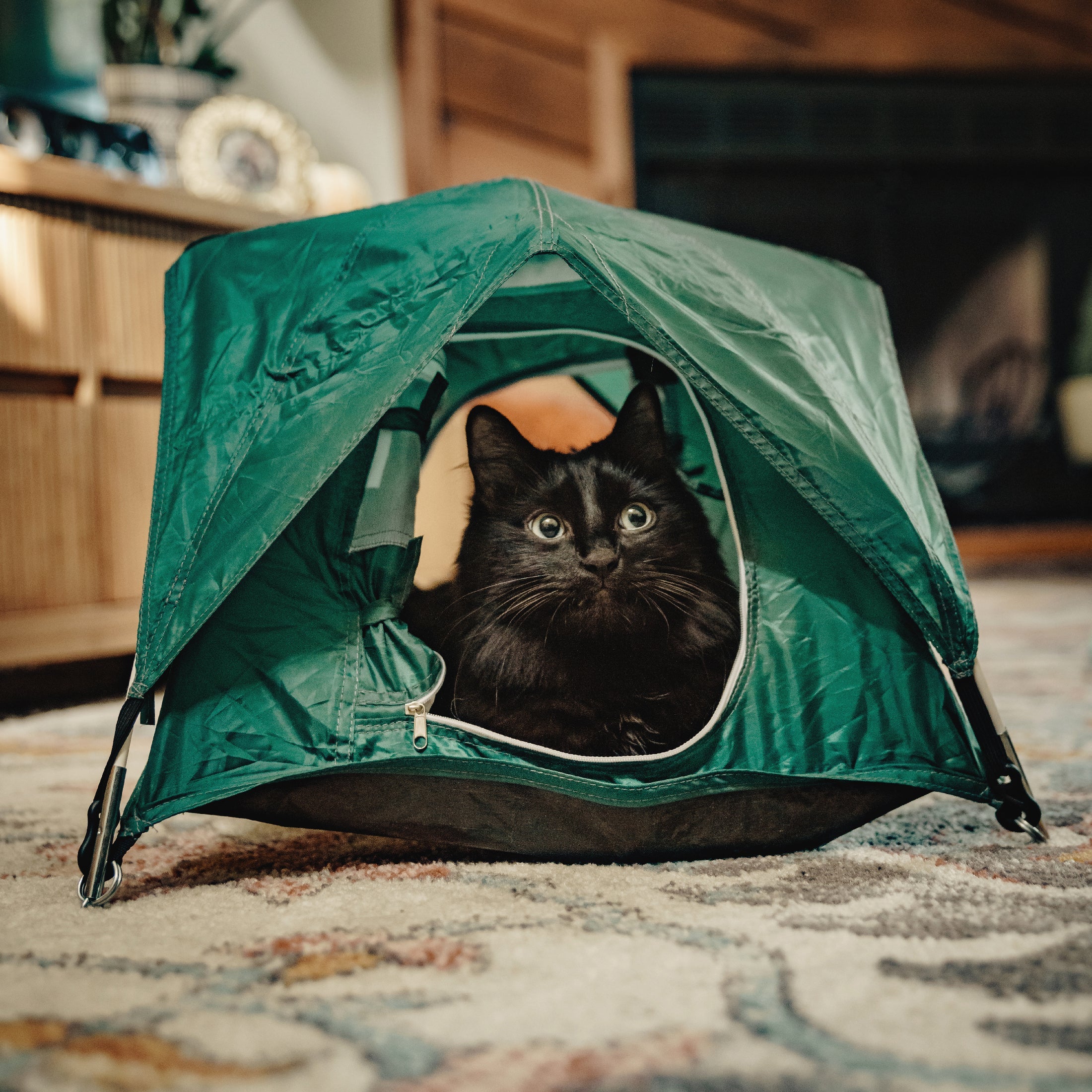 tiny tent Tiny Tents Tiny Tent